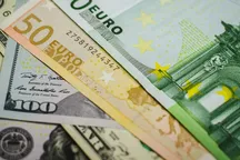 Евро пробил отметку в 101 сом, доллар стабилен: курс валют в Бишкеке на 2 апреля