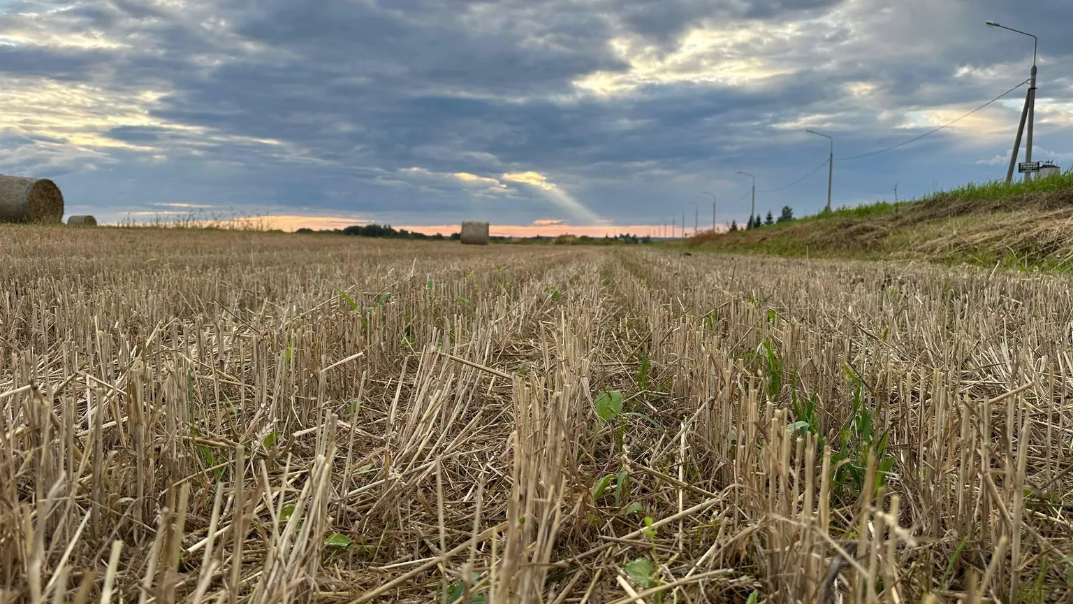Кыргызстану грозит дефицит воды. Минсельхоз усилит контроль за поливами