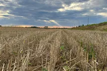 Кыргызстану грозит дефицит воды. Минсельхоз усилит контроль за поливами