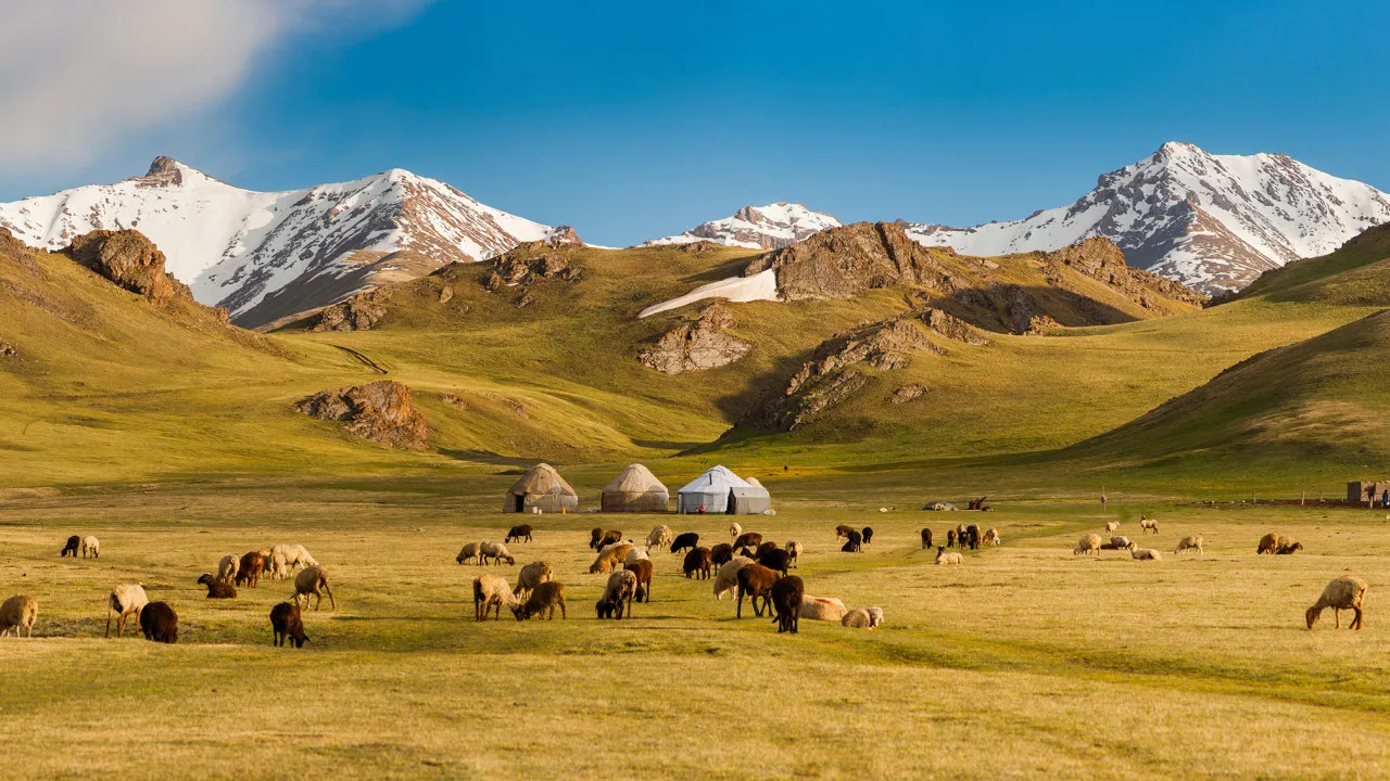 Спасение истощенных земель: в Кыргызстане восстанавливают более 400 тысяч гектаров пастбищ