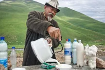 Хватит пить чужой кымыз. В Жогорку Кенеше призвали срочно защитить национальный бренд