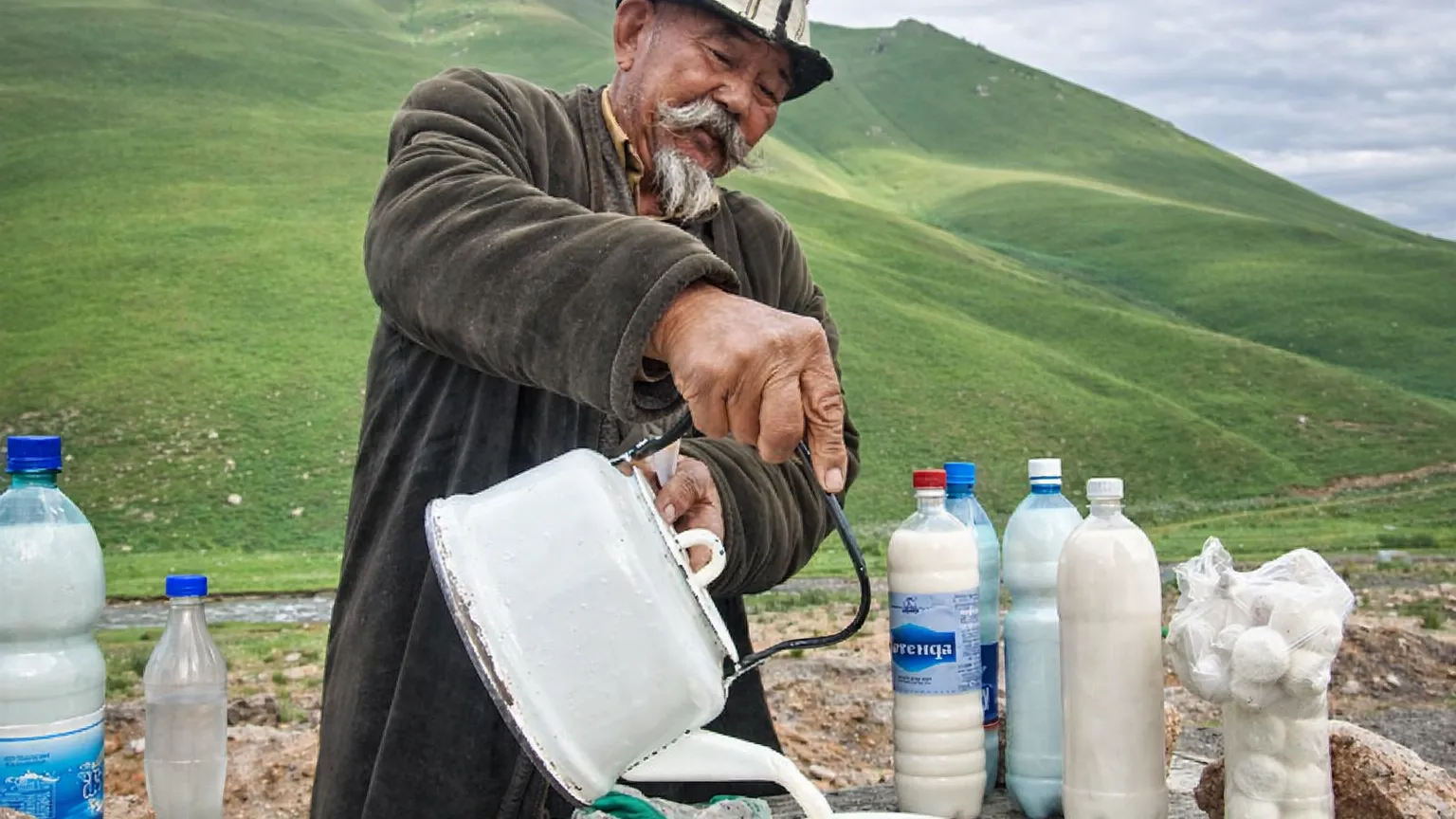Хватит пить чужой кымыз. В Жогорку Кенеше призвали срочно защитить национальный бренд