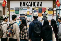 Почти 93% вакансий в КР приходятся на Бишкек. Кого ищут работодатели и сколько платят