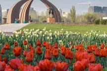 Прогноз погоды на 13 мая по Кыргызстану. Наконец-то потеплеет