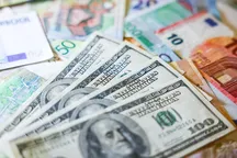 Евро упал ниже 100 сомов, рубль и тенге снизились. Курсы валют на 22 июня