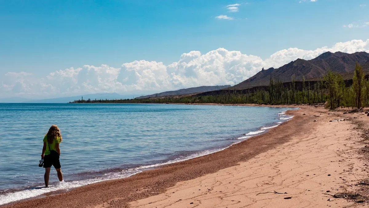 Угроза для Иссык-Куля: северное побережье рискует превратиться в болото