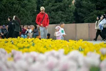 Когда потеплеет в Бишкеке. Прогноз погоды на неделю