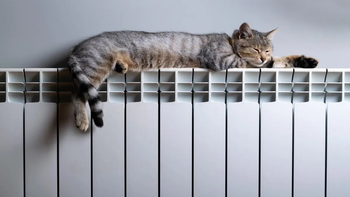 В Оше завершился отопительный сезон. Когда отключат отопление в Бишкеке