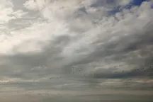 Без гроз, но пасмурно: синоптики рассказали, какую погоду ждать в Бишкеке