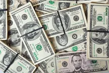 Рекордная интервенция: Нацбанк Кыргызстана продал на рынке $178,9 млн