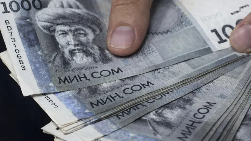 Инвестиции для начинающих: куда вложить 10 000 сомов в 2026 году?